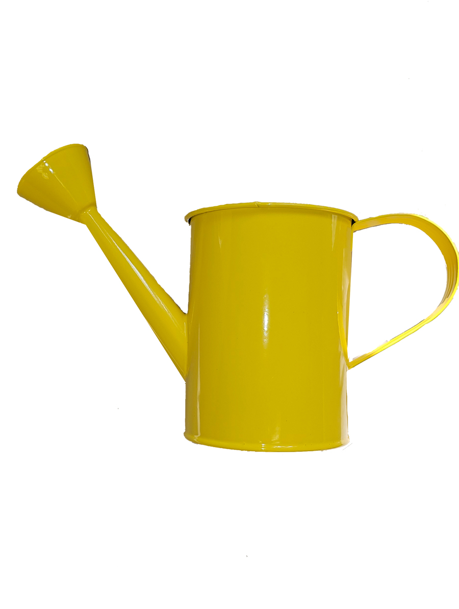 Watering Can Accessory